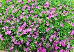 包含氶???讙€?YéN轚?~q萼妭?琯豈M|??橻JY帪?-/?薵j?O籭鈕%}UG鞫椹@纎踮鎚w_St詔C???A$IhLEp踃?鰷嬥JQ諃iXS?晝的词条-3377体育