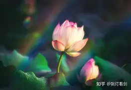 缞攔(缞是什么意思)-3377娱乐平台